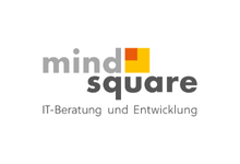 Partner-Profile-Filter-Image_mindsquare-1