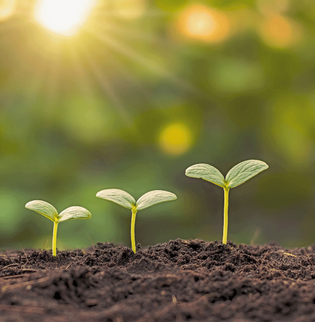 Partner_Gallery Accordian_2